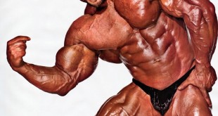 branch warren shoulder workout routine 2016 supplements