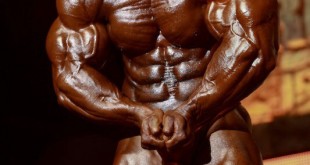 roelly winklaar mr olympia 2016 posing placing motivation