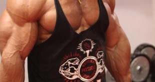 roelly winklaar bodybuilder ifbb 2016 images instagram