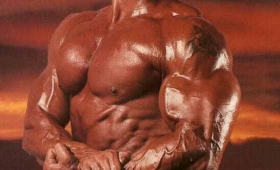 Berry DeMey Bodybuilding training workout 2015