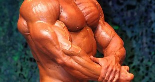 gary strydom bodybuilder back biography twitter tumblr