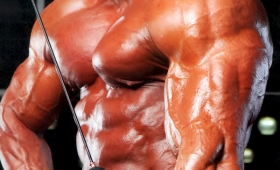 Photos Evgeny Mishin bodybuilder workout routine 2015