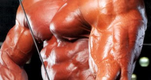 evgeny mishin model 2016 instagram bodybuilder workout routine