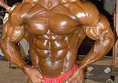 Shawn Ray bodybuilder workout routine 2015