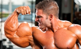 Bodybuilding bible legal muscle building stack 2015
