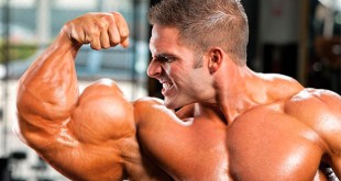 Bodybuilding bible legal bodybuilding steroids muscle building stacks Bodybuilding Fitness Your Guide to Building Muscle Supplements Bodybuilder Photos youm misr