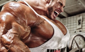 Bodybuilding biceps legal steroids muscle gainer 2015