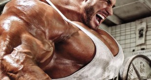 Bodybuilding biceps legal steroids muscle gainer supplements 2014 Bodybuilding Fitness Your Guide to Building Muscle Supplements Bodybuilder Photos youm misr