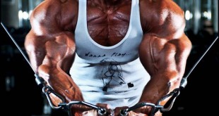 Pictures Bodybuilding clothing women 2014 women bodybuilding diet Bodybuilding Fitness Your Guide to Building Muscle Supplements Bodybuilder Photos youm misr