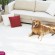Photos American furniture warehouse 2014 decoration design house 2014 Best Website fantastic furniture & decoration interior design 2014 your guide to home more beautiful youm misr